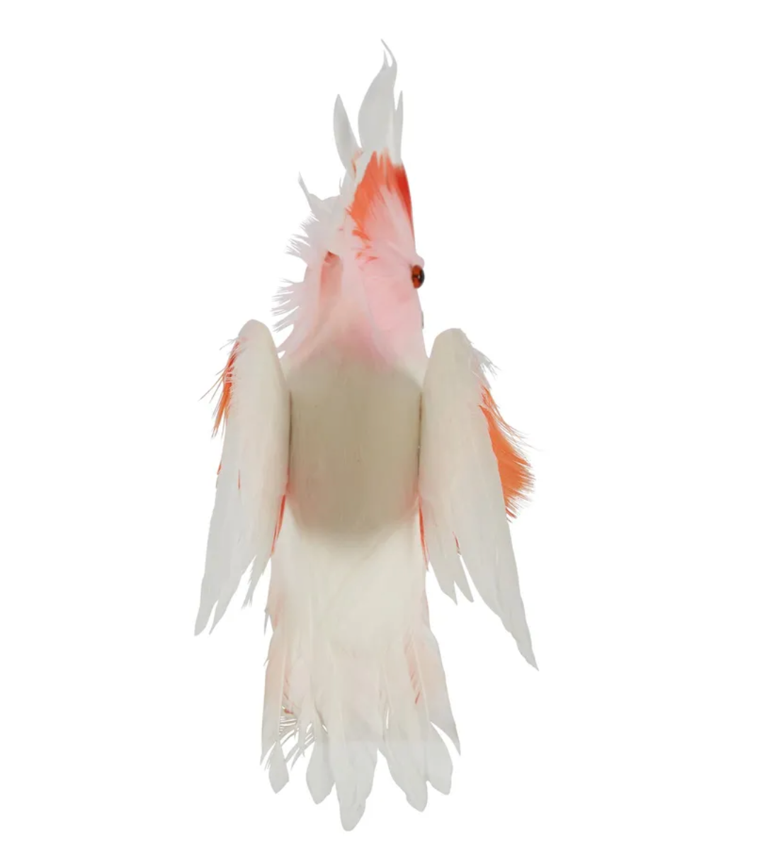 Galah Flying Bird Pink