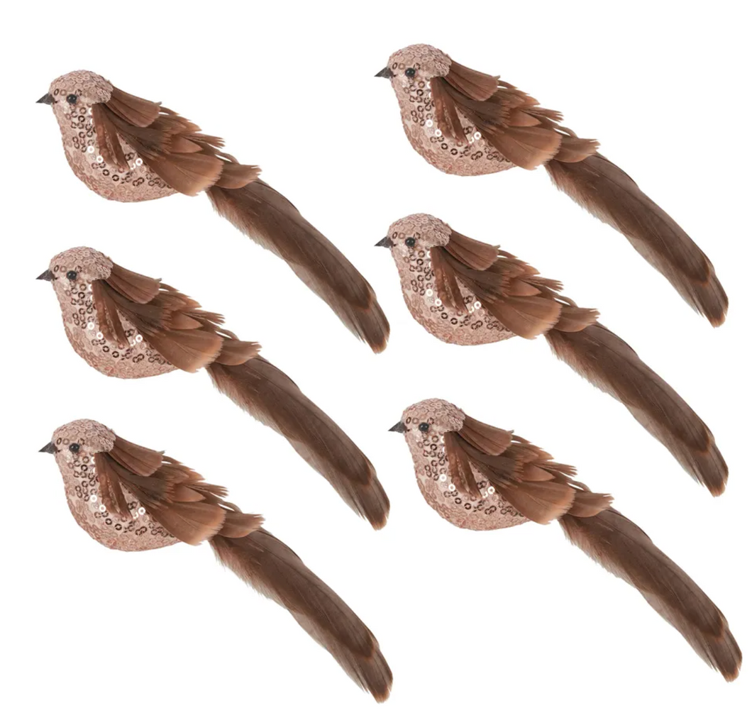 Bardot Sequin Bird Set of 6