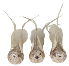 Load image into Gallery viewer, Birds Gold Set of 3 - Clip
