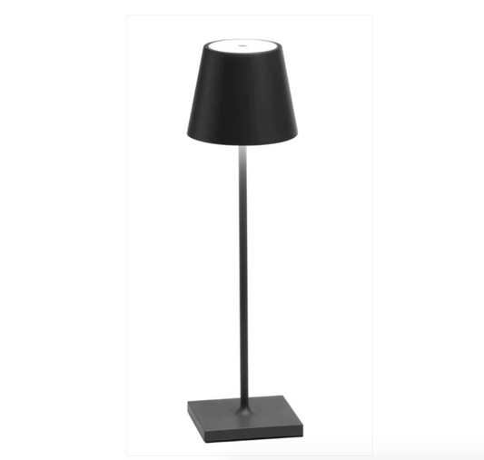 Black Portable Lamp
